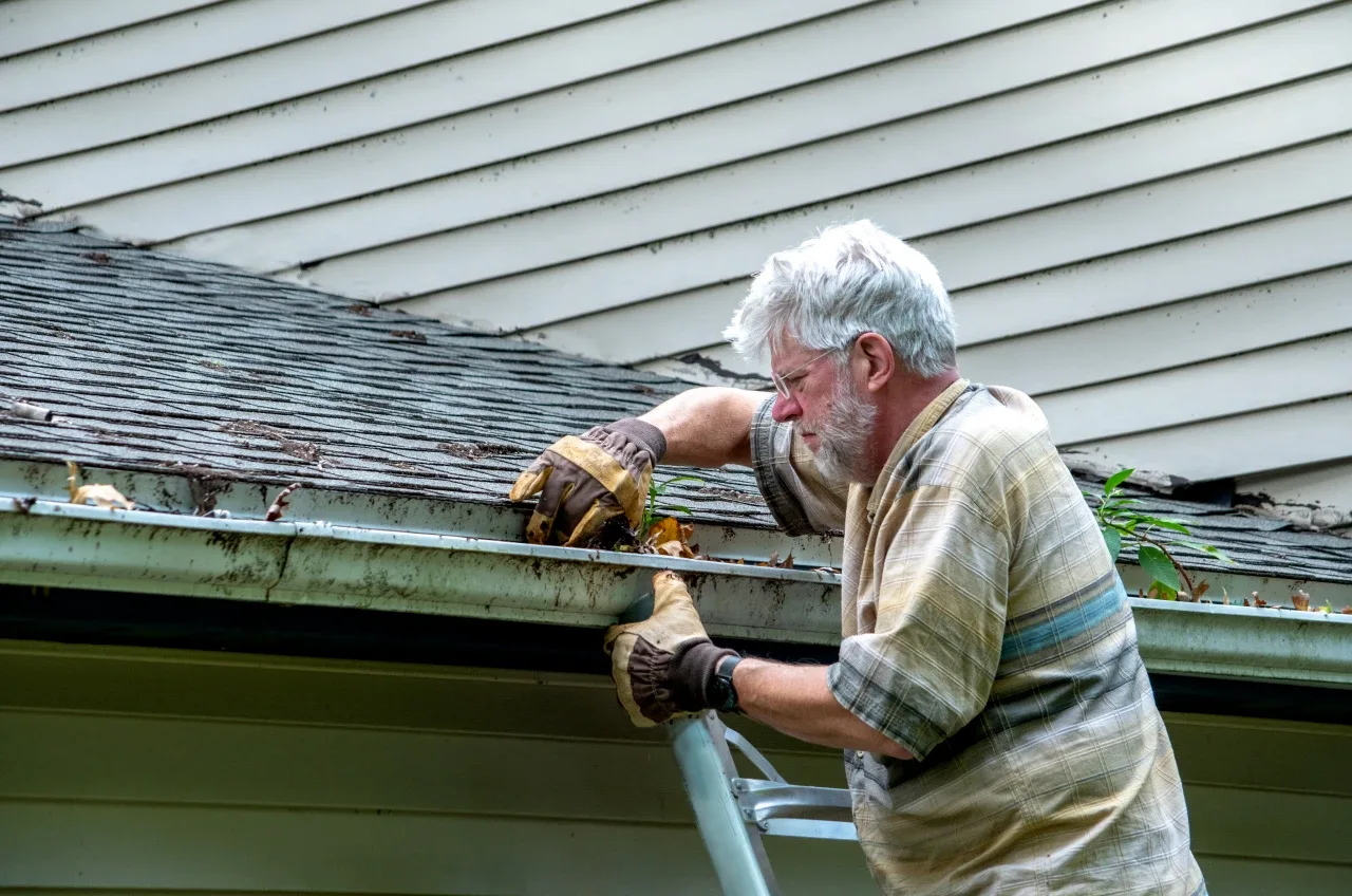 Common Gutter Problems And How To Fix Them — illustration