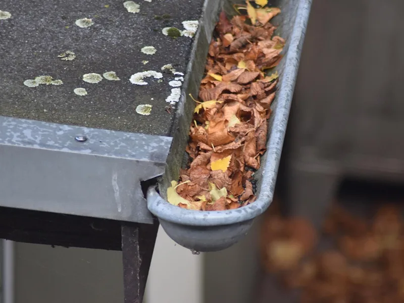 Signs You Need Gutter Repair