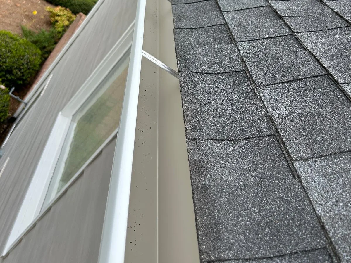 Professional Gutter Cleaning in Buford GA